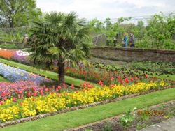 Kensington Palace Gardens in Spring Wallpaper