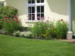 Close up of Cottage Flowers Wallpaper