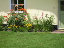 Close up of Cottage Flowers Wallpaper