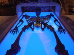 Yorkist or Lancastrian? Wallpaper