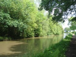 Ashby Canal and Ambion Wood Wallpaper