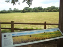 Viewpoint in SW side of the Battlefield Wallpaper