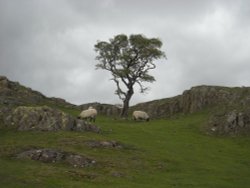 Hadrians Wall Wallpaper