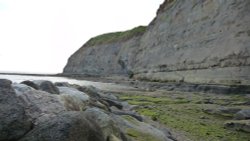 Views of Staithes Wallpaper