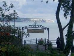 Shanklin Chine Wallpaper