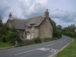 Winkle Street