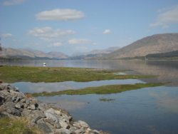 Fort William Wallpaper