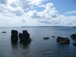 Across Torbay Wallpaper