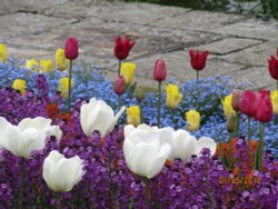 Sunken Garden at Kensington Palace Wallpaper