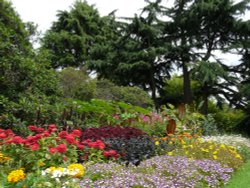 Greenwich Park Flower Garden Wallpaper