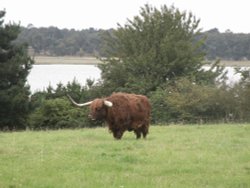 A view at Iken Wallpaper