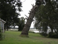 On the lean at Iken Wallpaper