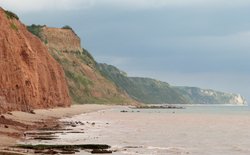 Sidmouth Wallpaper