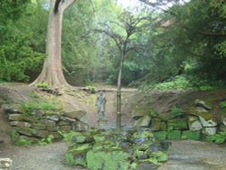 Willow Tree Fountain Wallpaper