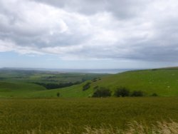 Landscape around Abbotsbury Wallpaper