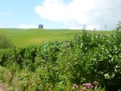 St Catherine's Chapel, Abbotsbury, Dorset Wallpaper