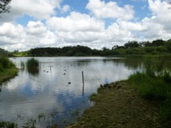 Tern Hide, Warnham Nature Reserve Wallpaper