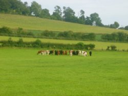 Chilterns Landscape Wallpaper