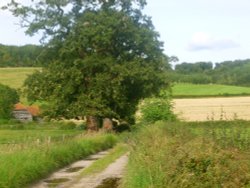 Chilterns Landscape Wallpaper