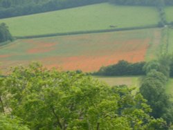 Turville, The Chilterns Wallpaper