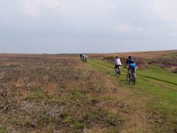 Quantock Hills Wallpaper