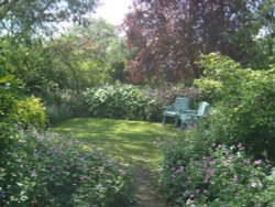 First Time Garden at Barnsdale