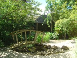 Japanese Garden at Barnsdale