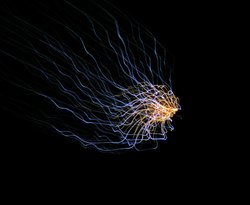 Sheerness Carnival Fireworks 18th August 2012 Wallpaper