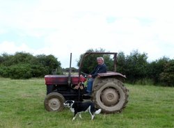 Ilfracome farmer and working dog Wallpaper