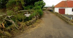 Northbank Farm Wallpaper