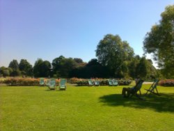 Queen Mary's Rose Garden July 2012 Wallpaper