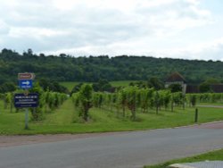 Denbies Entrance Wallpaper