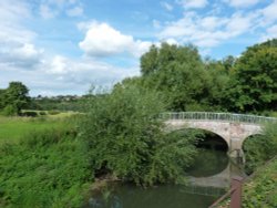 Norbury Park - this way. Wallpaper