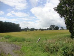 Kent Life Maidstone Wallpaper