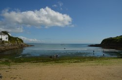 Portmellon Wallpaper