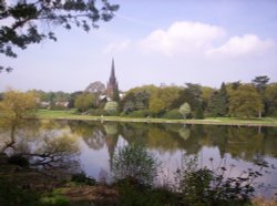 Clumber Park Wallpaper