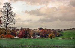 Sherborne, Dorset. Wallpaper