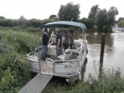 After a two mile walk across Carlton Marshes... Wallpaper