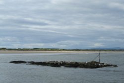 Danger Sign Wallpaper