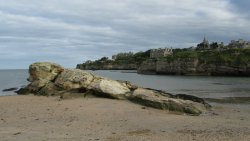 Doo Craigs Rocks Wallpaper