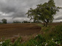 A Cotswold view Wallpaper