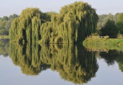 Watermead Reflections Wallpaper