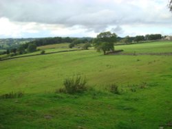 Nidderdale Wallpaper