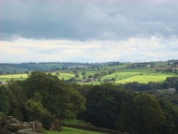 Nidderdale Wallpaper