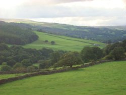 Nidderdale Wallpaper