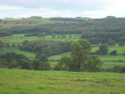 Nidderdale Wallpaper