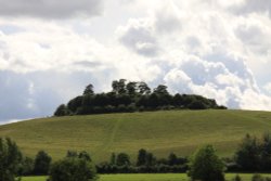Round Hill, Wittenham Clumps Wallpaper