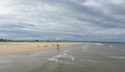 West Sands Beach Wallpaper