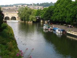 Boats, Ducks and Valerian Wallpaper