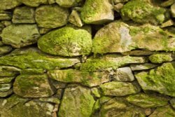 Dry Stone Wall Wallpaper